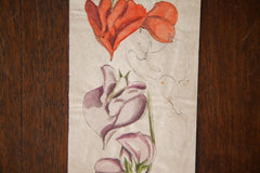 Antique Orchid Watercolor, Casual Sketch Series // ONH Item 1394 Image 3