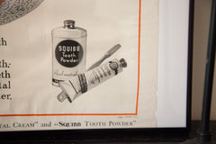 1920s Vintage Tooth Diagram Squibb Advertisement Poster // ONH Item 1533 Image 2