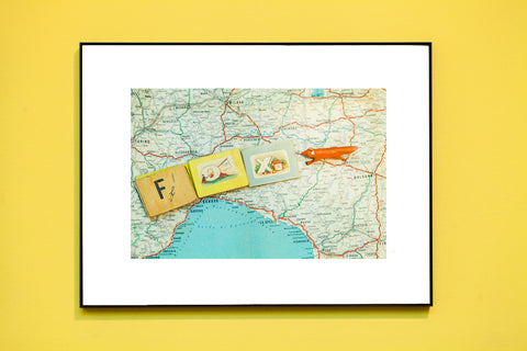F is for Fox // Vintage Alphabet Photograph Series // ONH Item 1559