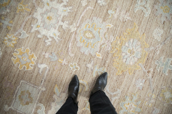 9.5x11.5 Distressed Afghani Oushak Design Carpet