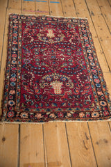 2.5x4 Vintage Lilihan Rug