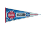 Vintage Detroit Pistons felt pennant in classic red, white, and blue with sponsor logos.