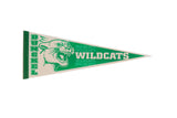 Vintage Dunckel Wildcats felt pennant in cream with a green roaring mascot graphic.
