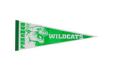 Vintage Dunckel Wildcats felt pennant in white and green with a roaring mascot graphic.