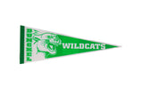Vintage Dunckel Wildcats felt pennant in green and white with a roaring mascot graphic.
