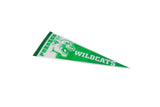 Close view of the roaring mascot and Dunckel name on the vintage felt pennant.