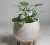 Tiny ceramic tripod planter with a white speckled glaze and natural clay legs.