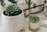 Tiny speckled clay tripod planter holding a small succulent plant.