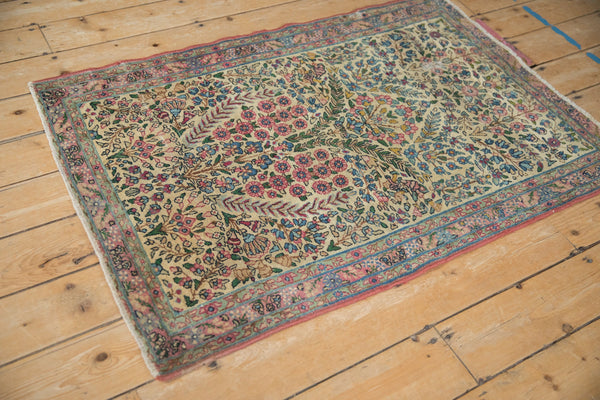 Vintage Kerman Rug // ONH Item: 12547, Image 6
