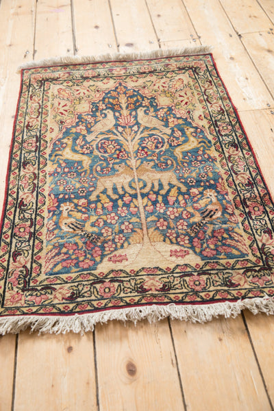 Antique Fine Kerman Rug Mat // ONH Item: 12548, Image 8