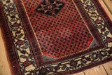 Intricate Herati and Turtle Samovar motifs on the ivory border of a vintage Persian rug.