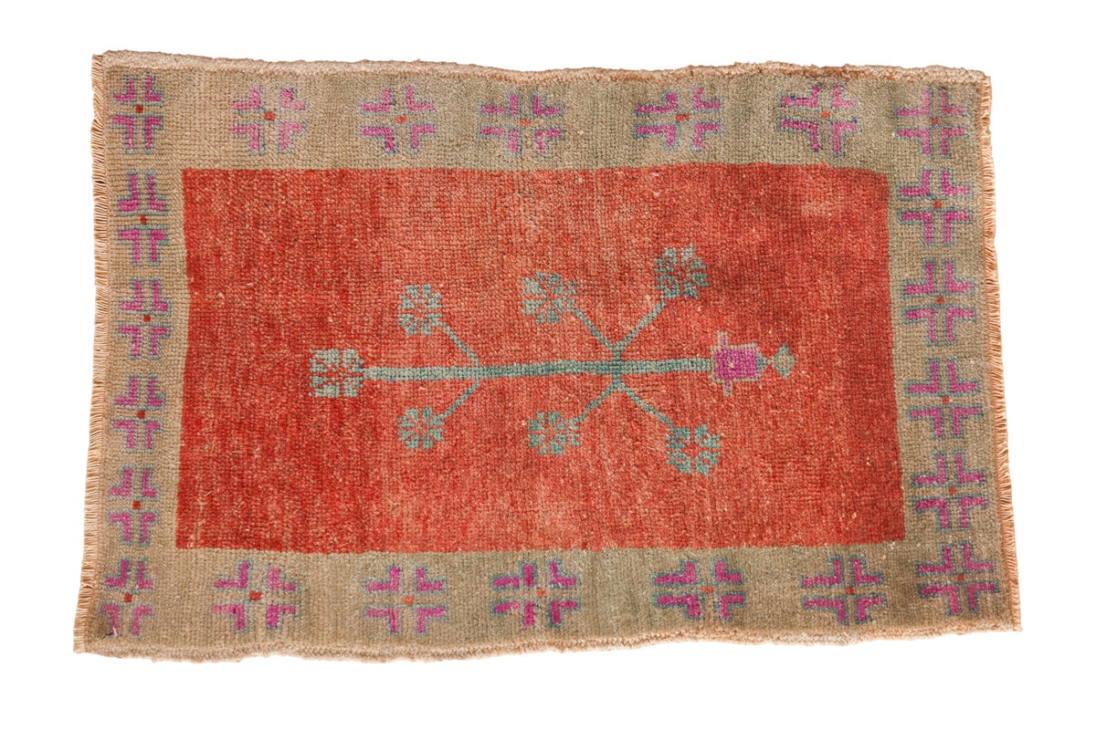 Vintage distressed Oushak rug with a tree of life motif, red field, and sage green geometric border.