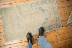 2.5x4 Distressed Oushak Rug