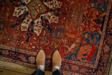 Detail of the folkloric lion, speckled fawn, and bird motifs on an antique Farahan Sarouk rug.
