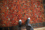 Repeating forest scene with perched birds and floral vines in vivid gem-tones on an antique Farahan Sarouk.
