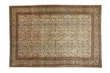 Vintage Sparta carpet, allover delicate floral vines, botehs, cream field, terracotta border, 6'4