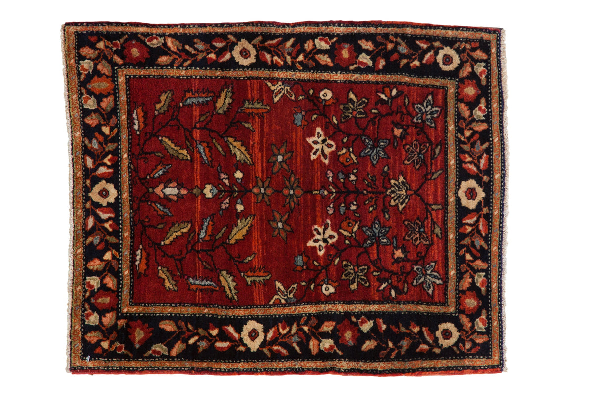 Antique Farahan Sarouk rug with a tree of life motif, abrashed red field, and dark navy floral border.