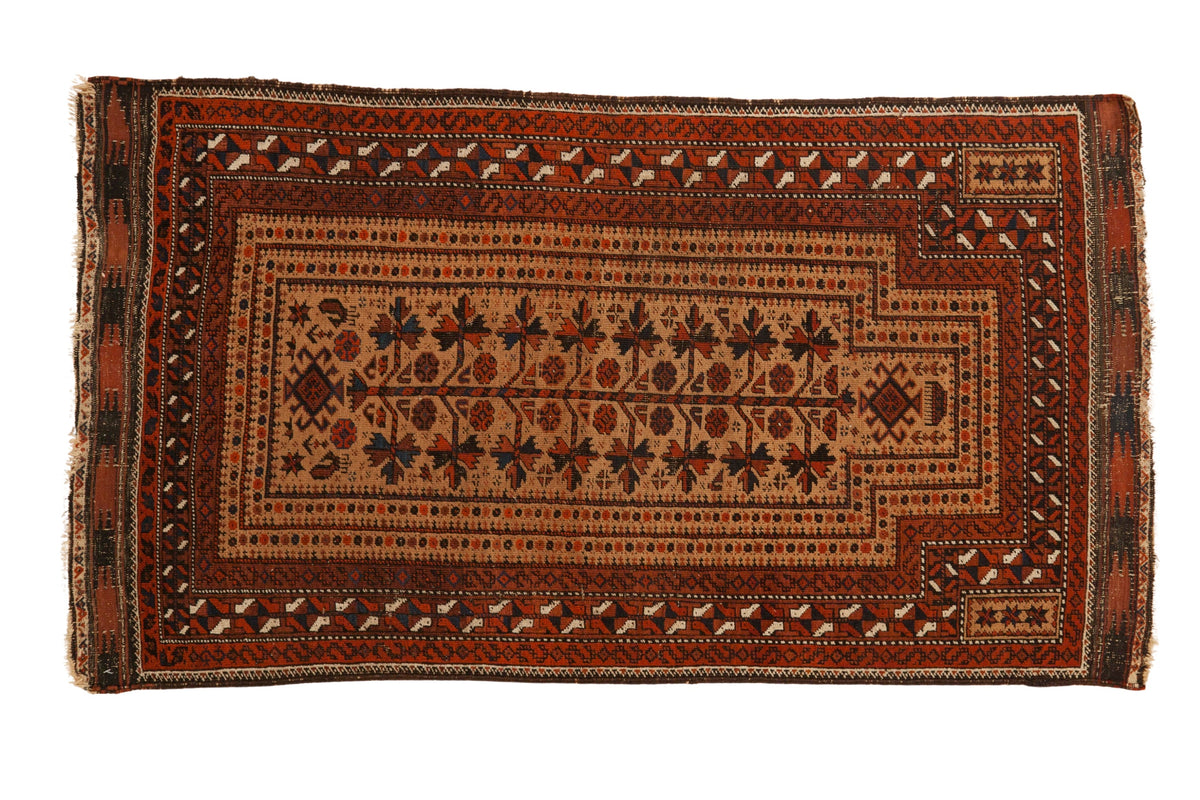 Antique Belouch prayer rug with a central field of stylized plants in sand, madder red, and deep charcoal.