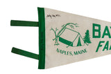 Handwritten dates from 1969 and 1971 on the green felt border of a vintage souvenir pennant.