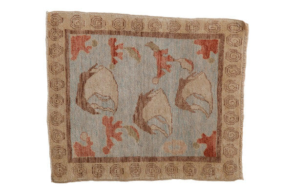 2.5x3 Oushak Square Rug