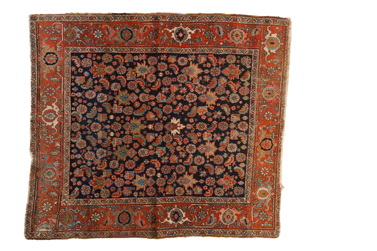 Antique Heriz square rug: deep navy field, madder red border, unique allover Herati floral motifs.