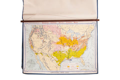 Vintage Denoyer Geppert Map // ONH Item 2683W