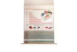 Mid-century Vintage Democracy pull-down chart with red and green graphics.