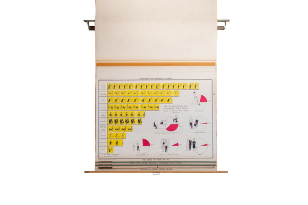 Vintage Democracy School Chart Set // ONH Item 2996 Image 11