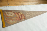 Detailed illustrations of Rainbow Falls and The Flume on a vintage tan felt pennant.