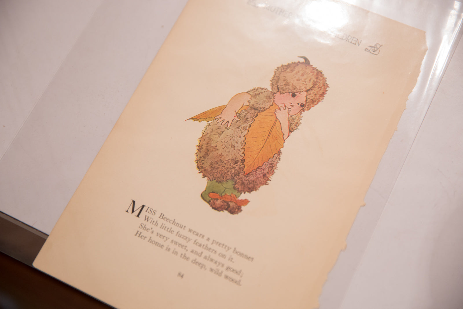 Antique M.T. Ross Mother Earth's Children Illustration // ONH Item 6823 Image 1