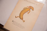 Antique M.T. Ross Mother Earth's Children illustration of a yellow banana character, 1914.