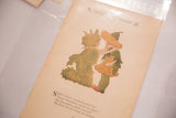 Angled view of an antique M.T. Ross book page showing the whimsical illustration and aged paper.