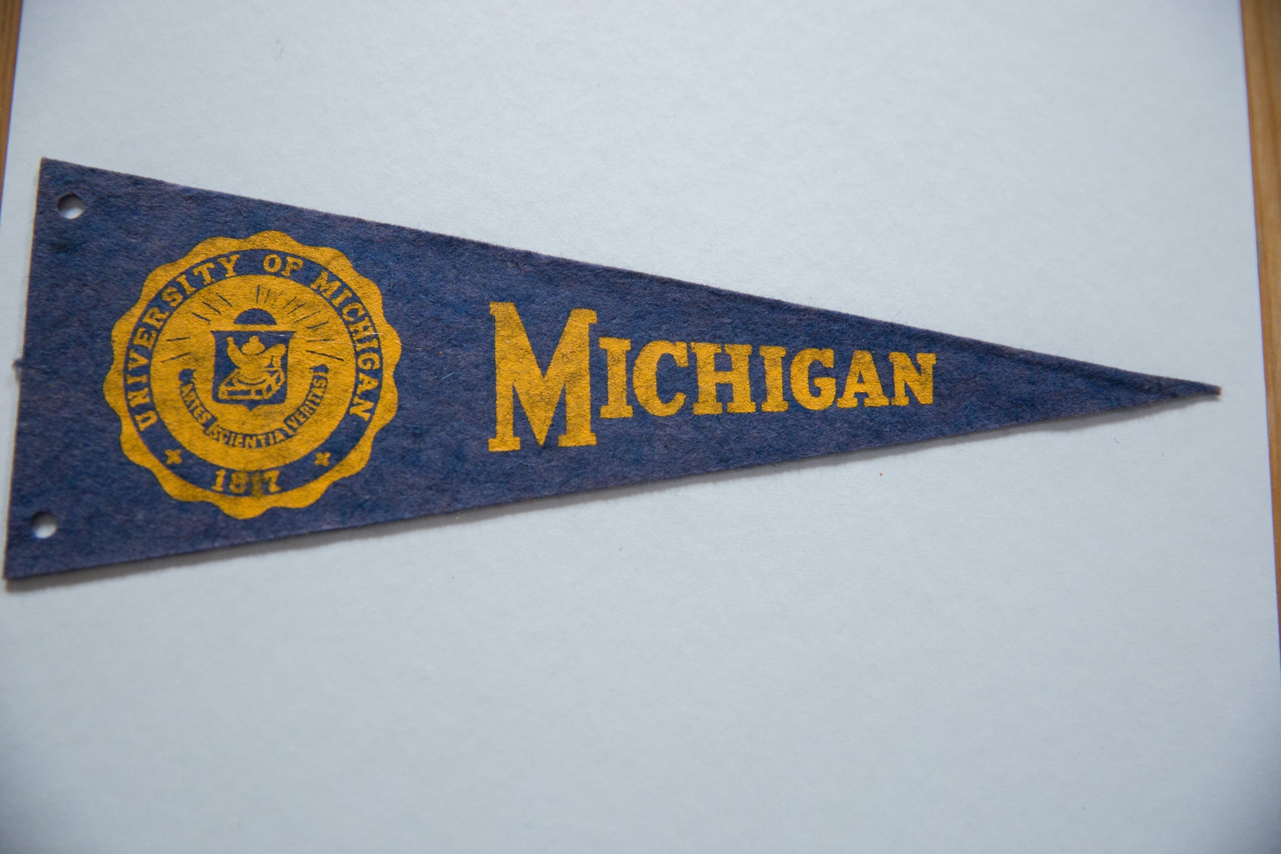 Vintage University of Michigan Felt Flag // ONH Item 8449 Image 1