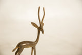 The alert face and tall, textured horns of a handmade African bronze gazelle.