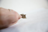 Vintage African bronze turtle pendant held in hand to show its small scale.