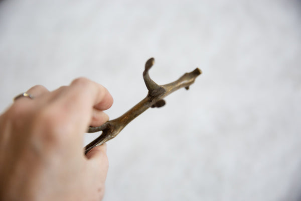 Vintage African Bronze Cheetah // ONH Item ab00875 Image 5