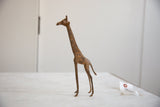 Vintage African bronze alloy giraffe sculpture with a slender form and mottled patina.