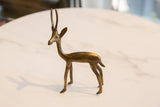 Close-up of vintage African bronze gazelle's head, showing textured horns and patina.