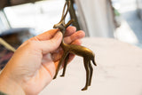 Patina on the vintage African bronze gazelle's rear legs and slender tail.