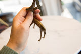 Close-up of vintage African bronze gazelle head, held by hand, with aged patina.