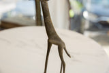 Textured, hand-etched patterns on the body of a vintage African bronze giraffe.