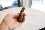 Side view of the vintage bronze hippo's textured body and aged patina held in hand.