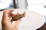 Vintage African bronze alloy hippo held in hand to show scale and texture.