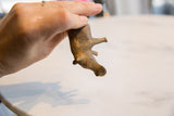 Underside view of the vintage bronze hippo showing its handmade form and texture.