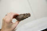 Vintage African bronze hippo held in hand to demonstrate its scale and texture.