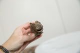 Detailed view of the handcrafted face and textured surface of a vintage bronze hippo.