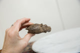Vintage African bronze hippo held in hand to show its compact size and textured finish.