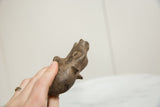 Angled detail of the vintage bronze hippo's face highlighting its rustic, handmade texture.
