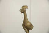Close-up of the African bronze bird's textured head, featuring a prominent comb and open beak.