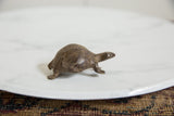 Side view of a collectible African bronze turtle with etched patterns and aged patina.
